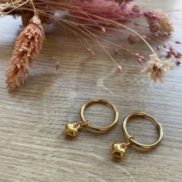 Boucles d’oreilles dorée - 01 - Paloma